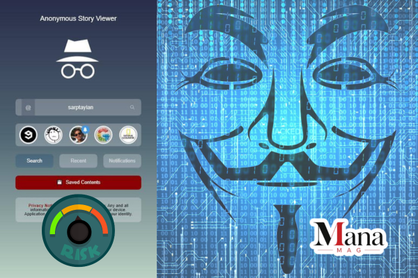 story viewer