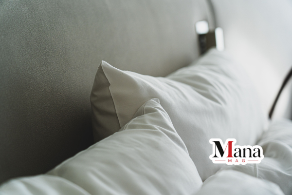 derila ergo pillow