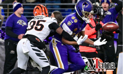 Bengals-vs-Baltimore-Raven