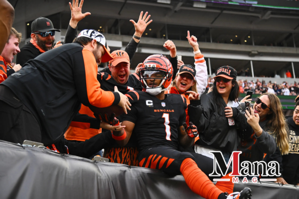 Cardinals vs Bengals