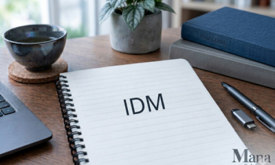 IDM
